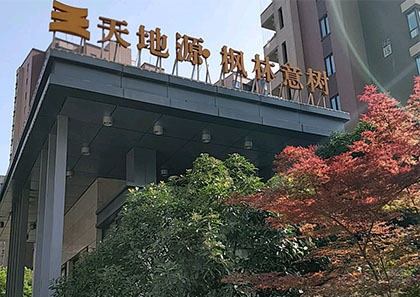 天地源·枫林意树153m²现代简约